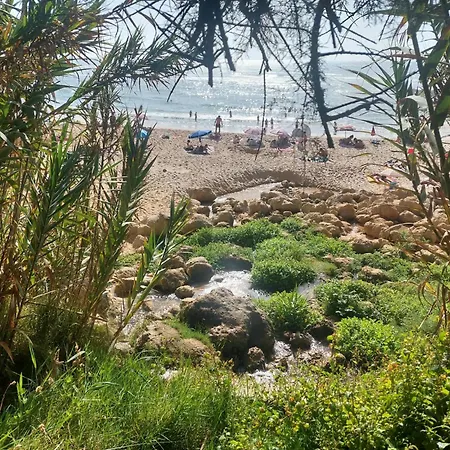 Cantinho Da Rosa Campingplatz Pataias